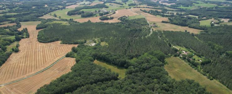 Forêt de production dans Le Lot-et-Garonne