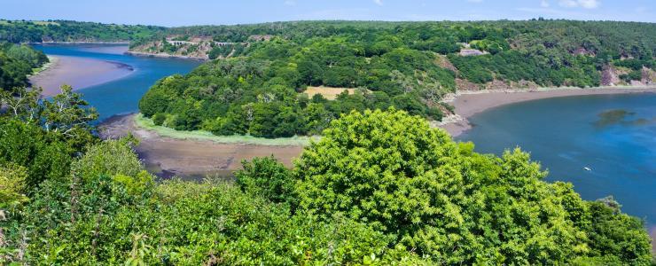 22 Côtes d'Armor - Des forêts accessibles et giboyeuses