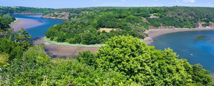 22 Côtes d'Armor - Des forêts accessibles et giboyeuses