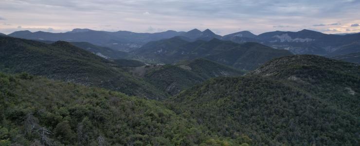 Massif forestier en Hautes-Alpes.