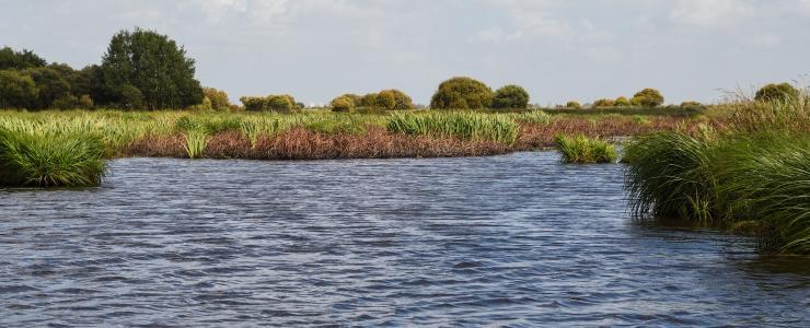 44 Loire Atlantique - Des forêts essentiellement composées de chêne