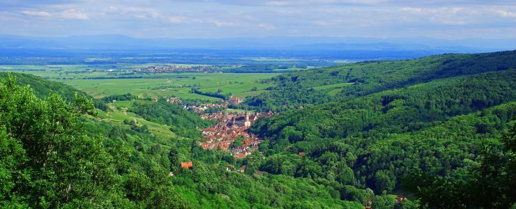 67 Bas Rhin - Des forêts réputées