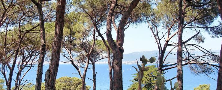 2A Corse du Sud - Un taux de boisement élevé