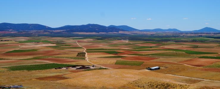 L’Espagne : l'autre pays de l'agriculture !