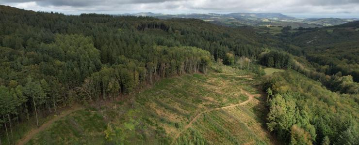 Travaux préparatoires à la plantation