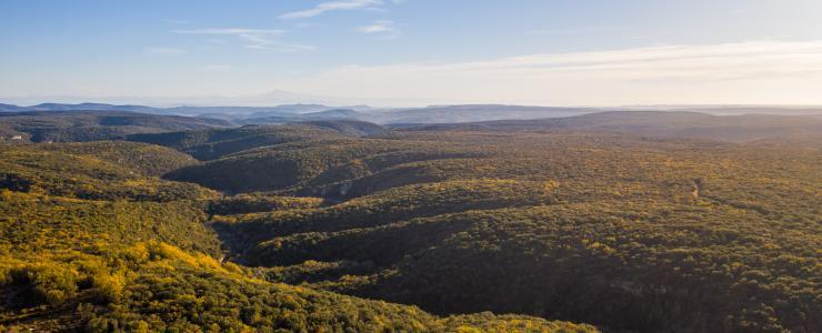 Forêt de loisirs au coeur du Gard
