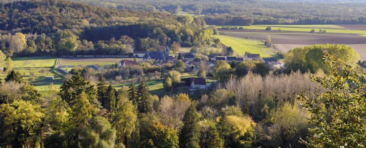 02 Aisne - Un climat propice aux forêts de qualité