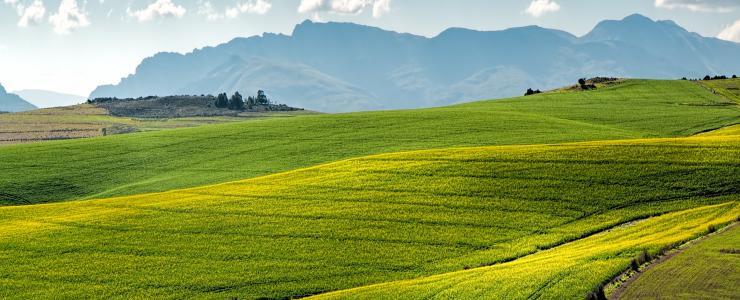 Le Droit de Préemption