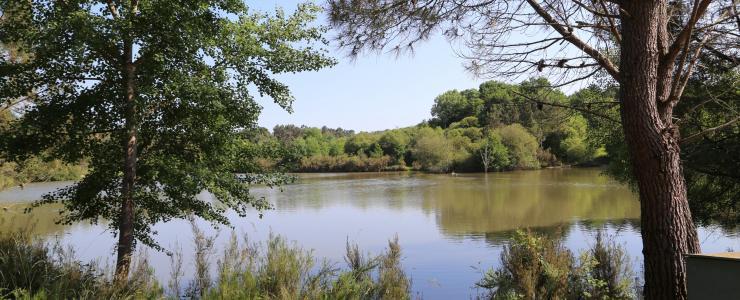 Enclos de chasse en Dordogne