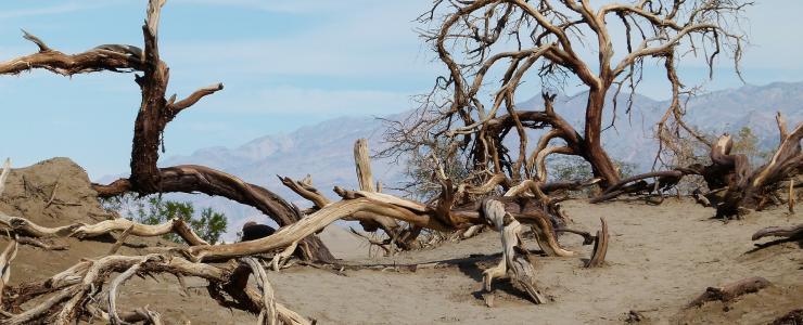 Le saviez-vous? Spécial réchauffement climatique