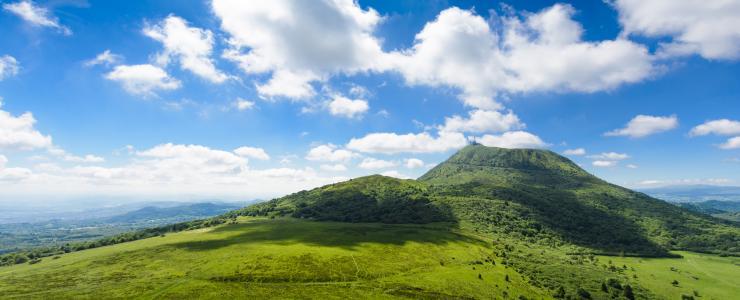 Forêts privées en région Auvergne Rhône Alpes :  Des aides destinées aux propriétaires