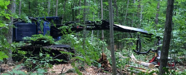 Sylva Croissance : le génie forestier appliqué à l’urbain et à la forêt privée