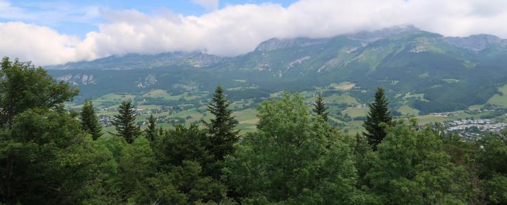 Forêt de production en Isère
