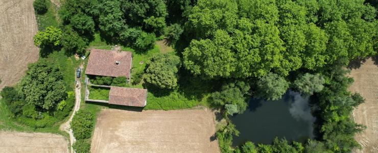 Propriété forestière dans le Lot-et-Garonne