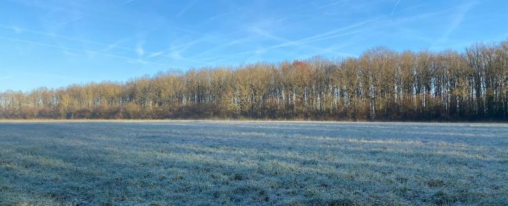 Propriété rurale au cœur de l'Essonne