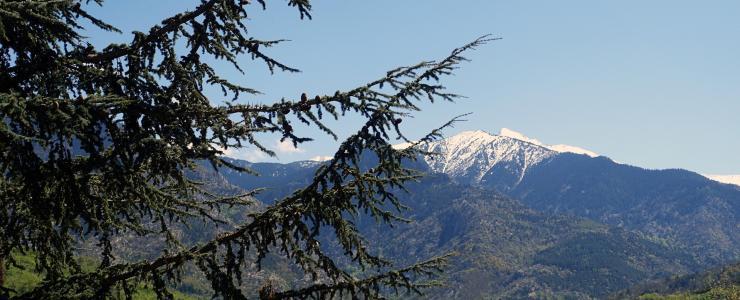 66 Pyrénées Orientales - Un relief très marqué impactant l'exploitation des forêts