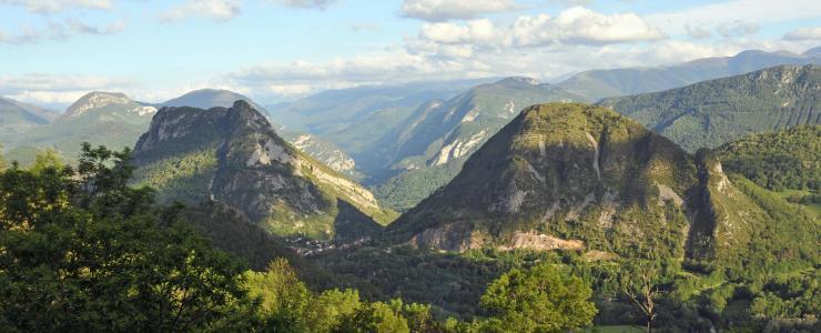 Ariège-Pyrénées, Un massif forestier qui ne laisse pas indifférent