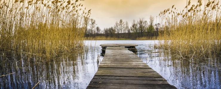 Les Etangs