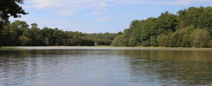 Grand étang et sa cabane d'agrément en Dordogne