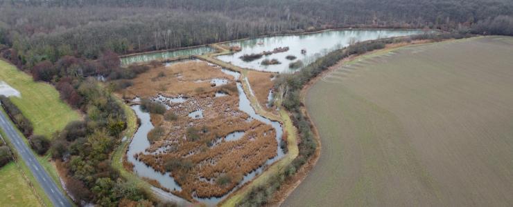 Étang avec hutte de chasse dans La Marne