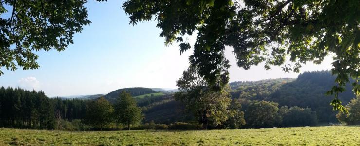 Le massif forestier du Morvan :  Entre exploitation et développement touristique