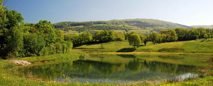 23 Creuse - Des prix de vente attractifs sur le marché des forêts