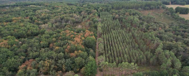 Propriété clôturée avec bâtis en Dordogne