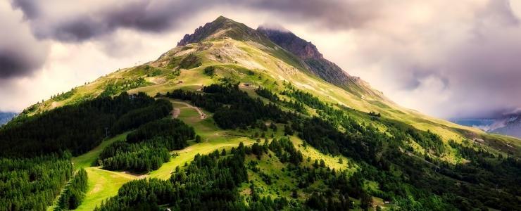 L'achat de Forêts en France : Les grandes régions forestières du territoire national