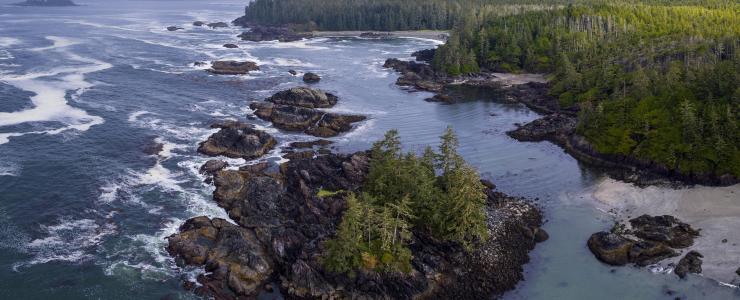 La Forêt Cotière, Trésor National du Canada