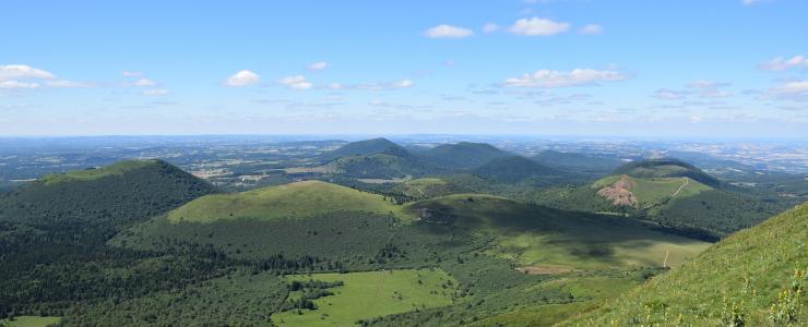 63 Puy de Dôme - Un bois de qualité favorisé par le climat