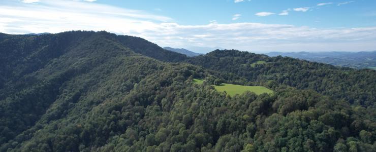 Forêt de feuillus de 71 hectares en Ariège