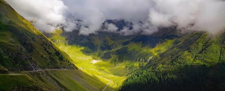 La forêt Roumaine en quelques chiffres