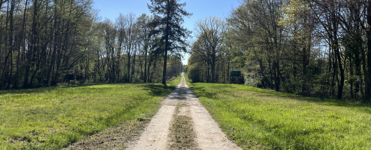 Domaine de chasse aux portes de la Sologne