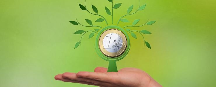 GFI : Groupement Forestier d'Investissement
