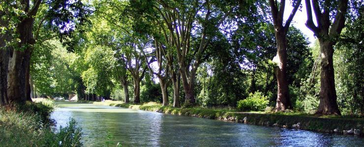 25 Doubs - Une exploitation du bois omniprésente