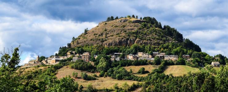 48 Lozère - Une présence massive de conifères