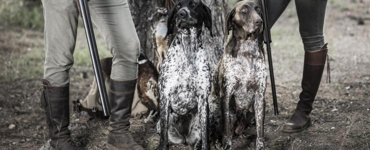 La Chasse en France