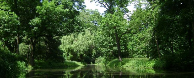 01 Ain - De beaux domaines forestiers agrémentés d'étangs