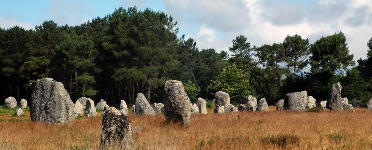 56 Morbihan - Des forêts à un bon rapport qualité/prix