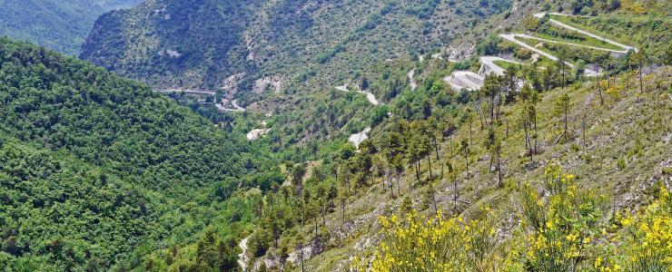 06 Alpes Maritimes - Des forêts de loisirs