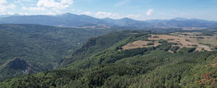 Forêt de production dans la Haute Vallée  de l'Aude