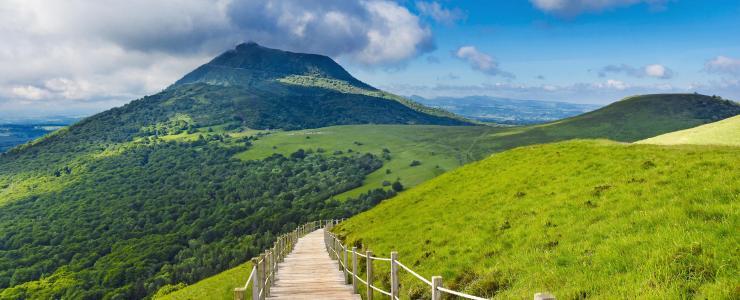 Auvergne-Rhône-Alpes - Une immense région forestière