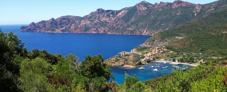 Corse - Des forêts remarquables