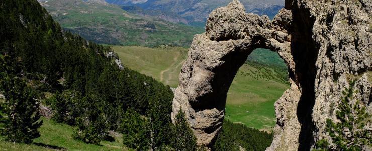 65 Hautes Pyrénées - Des opportunités pour les sylviculteurs