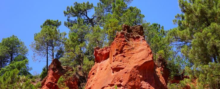 84 Vaucluse - Des forêts liées à l'activité de l'homme