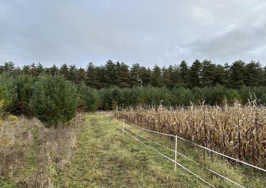 Domaine de chasse dans le Loiret